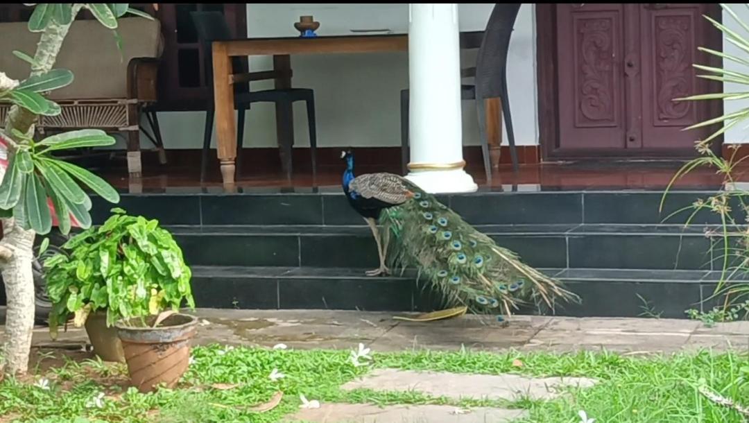 Angels' Homestay Marari Mararikulam Dış mekan fotoğraf