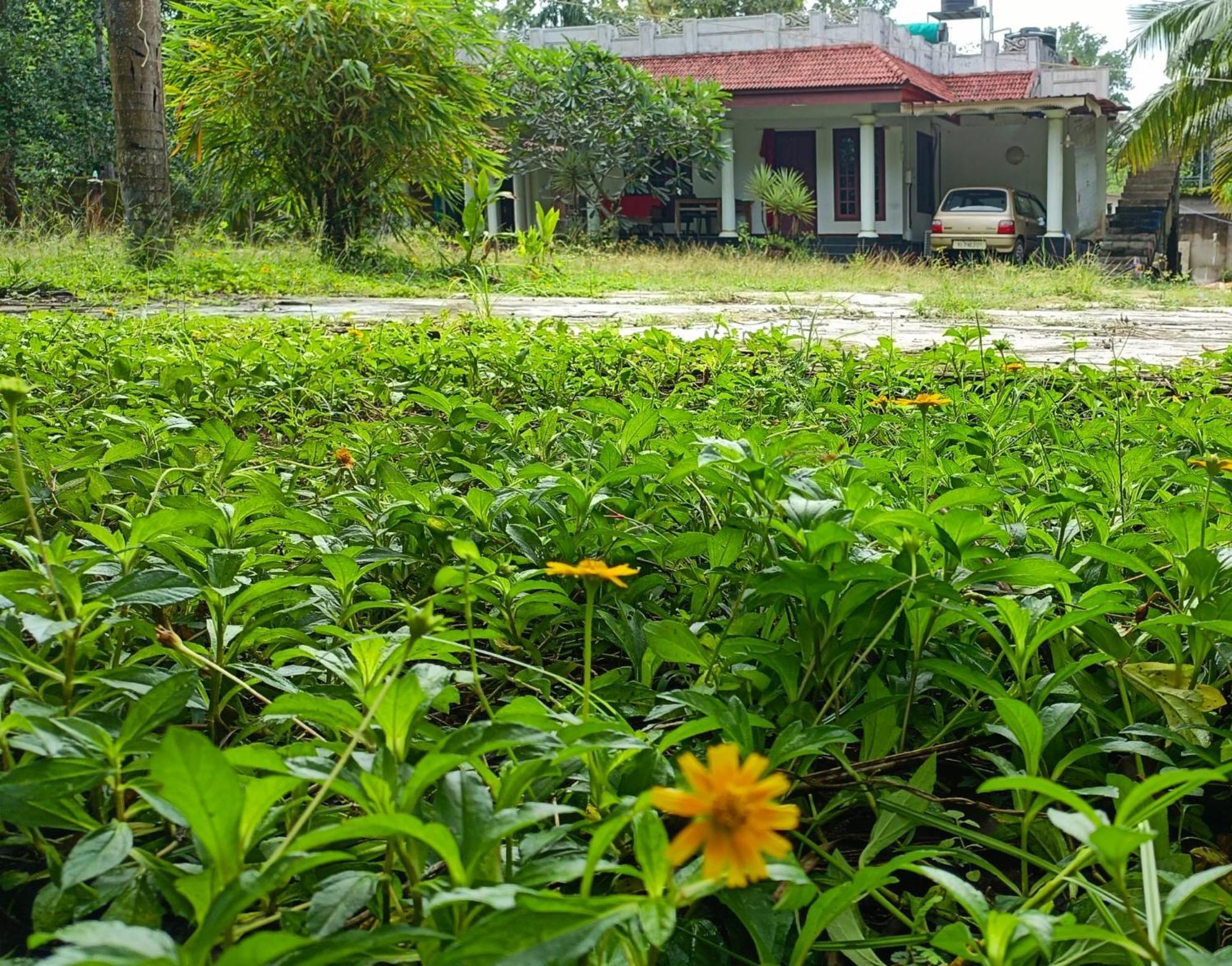 Angels' Homestay Marari Mararikulam Dış mekan fotoğraf