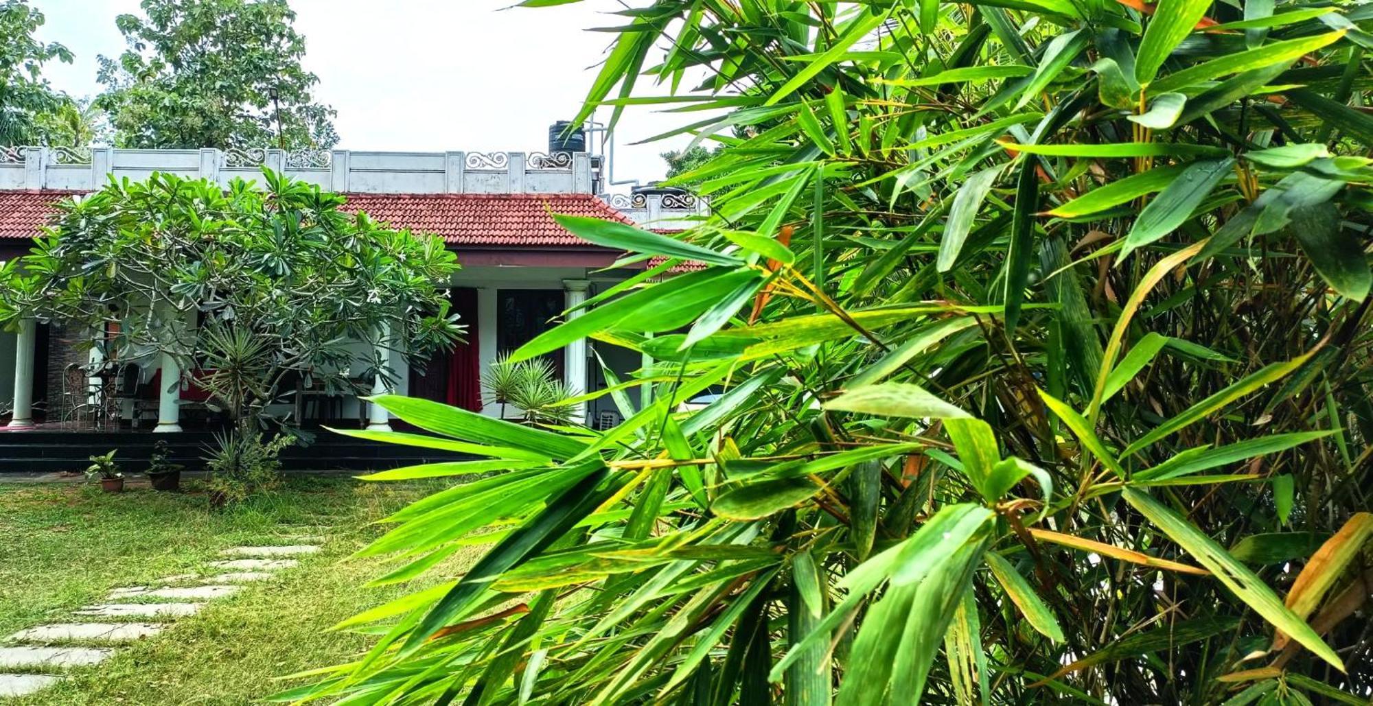 Angels' Homestay Marari Mararikulam Dış mekan fotoğraf