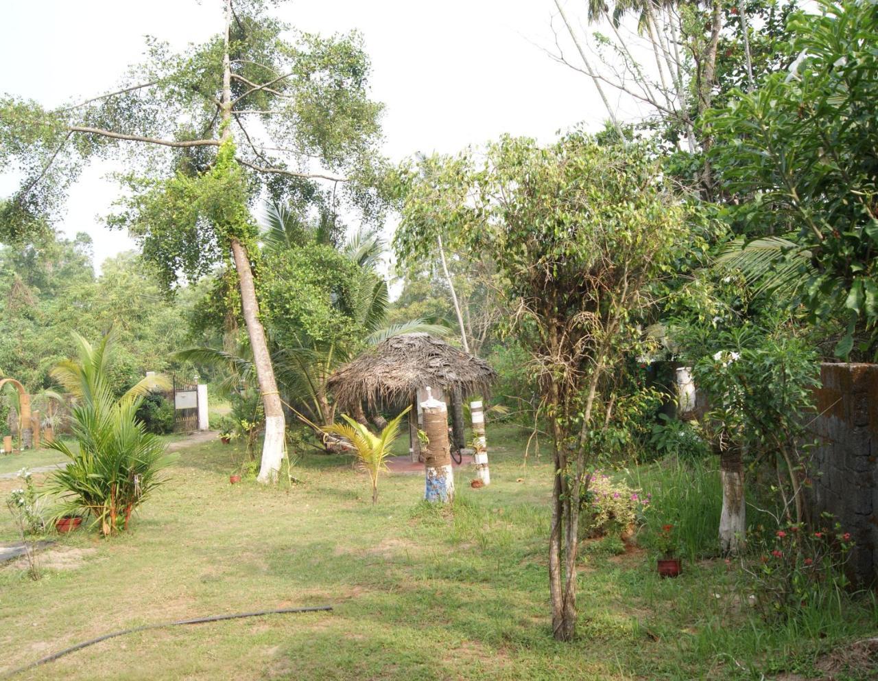 Angels' Homestay Marari Mararikulam Dış mekan fotoğraf